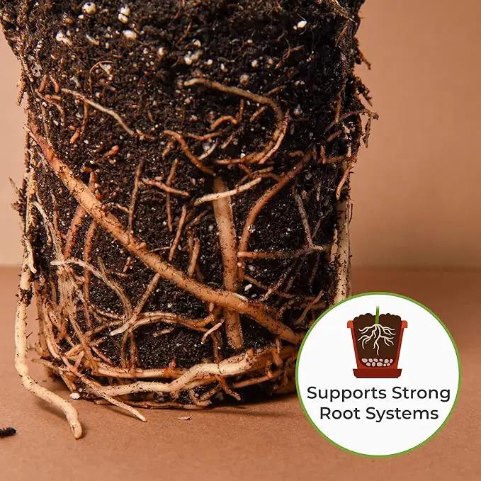 Perfect Plants Organic Snake Plant Soil in 8qt. Bag | Coco Coir Based Potting Mix Snake Plant Varieties by GreenHaven Gardens