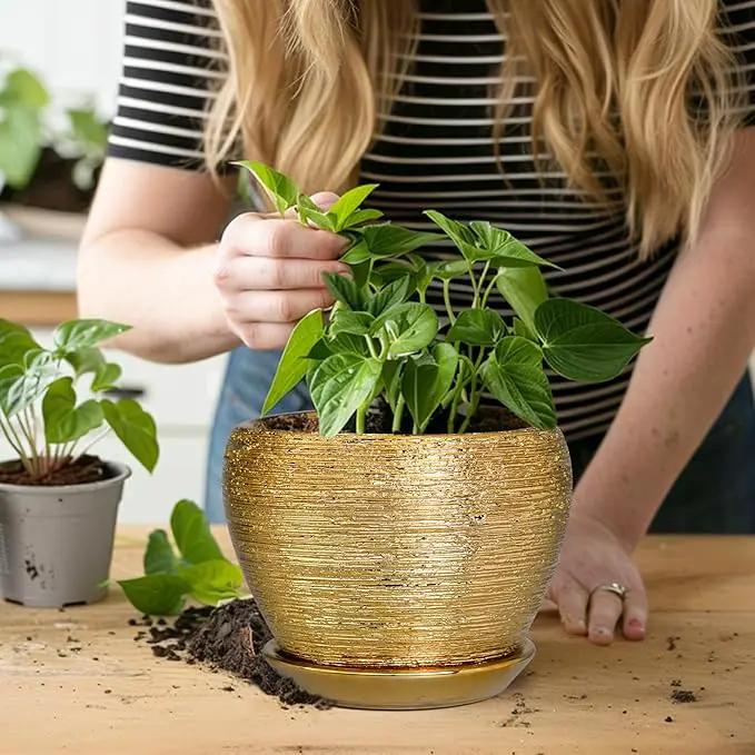 Indoor Plant Pot 6 Inch - Ceramic Pot for Plants Outdoor Planter with Drainage Hole and Saucer Round Decorative Planter Modern Flower Pot for Home Decor Gold by GreenHaven Gardens