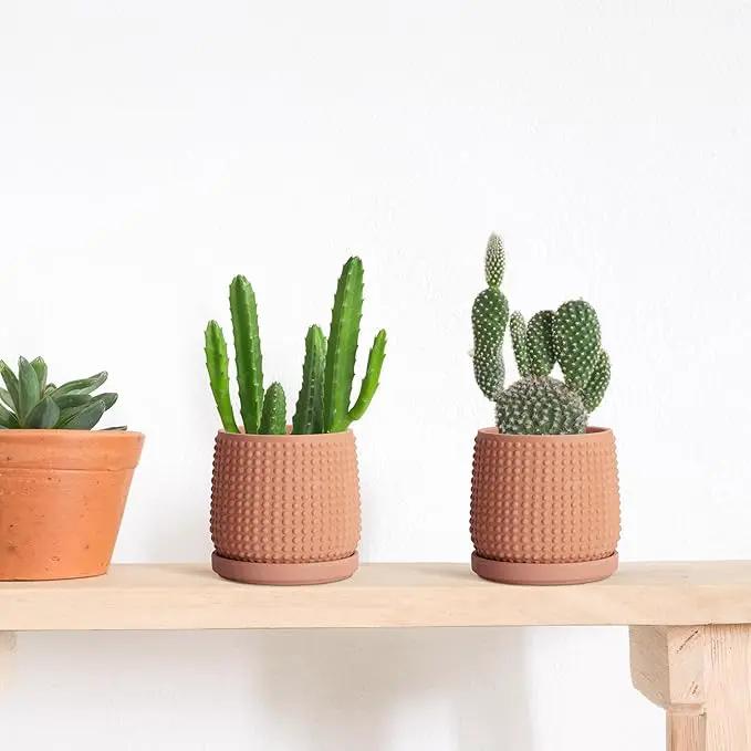 D'vine Dev Set of 2 Ceramic Plants Pots, 4 Inch Beaded Stoneware Flower Pot for Plants with Drainage Hole and Saucer, Terracotta, 27-E-Z-7 by GreenHaven Gardens