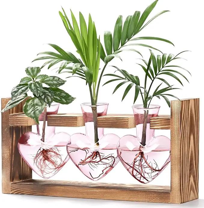 Lifecapido Heart Shaped Propagation Stations, Plant Terrarium with Wooden Stand, Plant Propagation Station for Hydroponics Plants Office Garden Home Decor, Gifts for Women Plant Lover (3 Vases, Pink) by GreenHaven Gardens