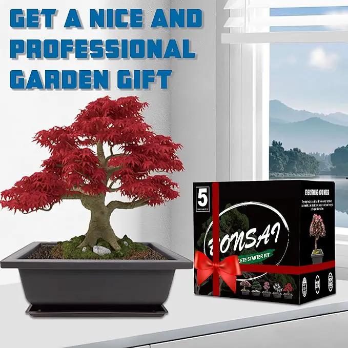 Bonsai Starter Kit, 5 Seeds Growing into Acacia, Wisteria, Sakura, Red Maple and Black Pine, Including Complete Gardening Tools with A Gift Box, Christmas Gifts for Men Women Beginners by GreenHaven Gardens