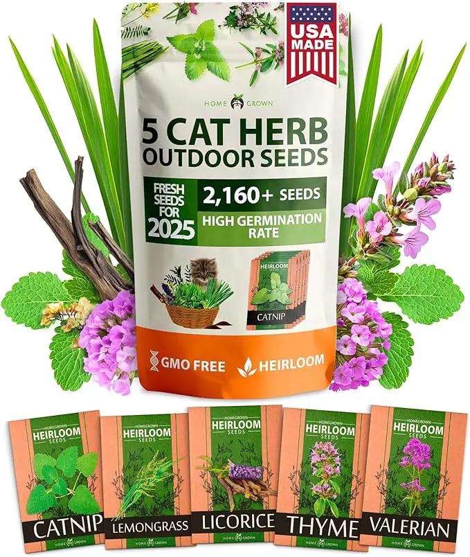 HOME GROWN 2,160+ Cat Plant Seeds Mix – 𝗡𝗢𝗡-𝗚𝗠𝗢 𝗨𝗦𝗔-𝗦𝗢𝗨𝗥𝗖𝗘𝗗 Heirloom Catnip, Lemongrass, Licorice, Thyme & Valerian – Pet-Friendly Indoor Garden Refill Kit for Cats & Kittens by GreenHaven Gardens