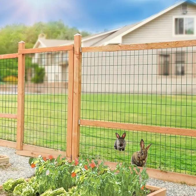 Green PVC Coated Welded Wire Fence 36 Inch x 50 Foot, 2 Inch x 4 Inch 14GA, Garden Border Fencing Roll Vinyl Coating Metal Wire Mesh Hardware Cloth for Yard Vegetable Plant Protection by GreenHaven Gardens