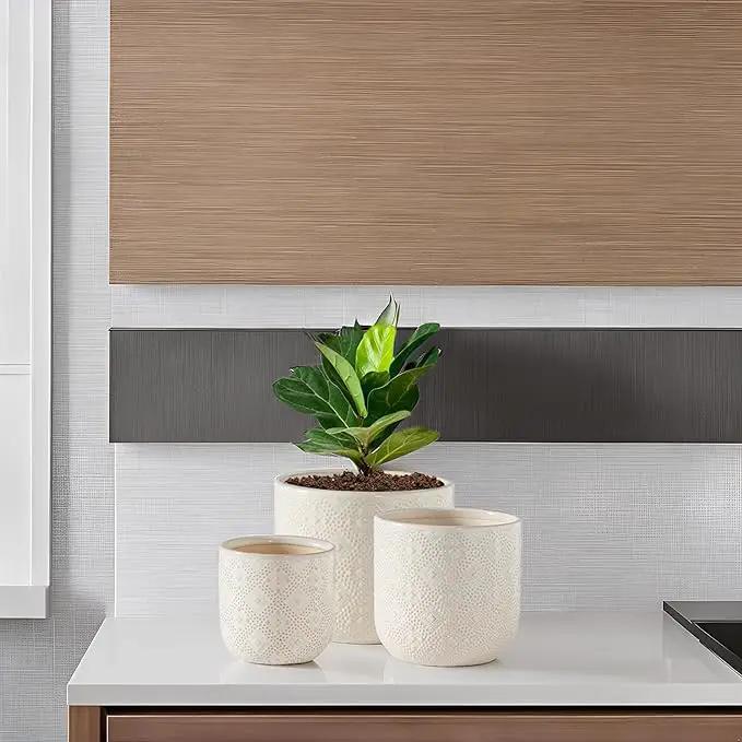 Docrin Ceramic Plant Pots Indoor：6.5+5.3+4 Inch Planters with Drainage Holes for Home /Office - Set of 3 / White by GreenHaven Gardens