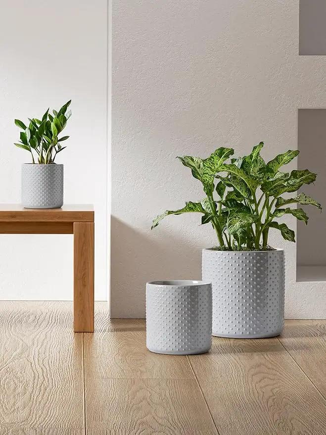 LE TAUCI Ceramic Pots for Plants, 6+8+10 Inch Planters for Indoor Plants, Plant Pots Indoor for Home and Office, Mid-Modern Century Flower Pots with Drainage Hole and Silicone Plug, Glaze Star Gray by GreenHaven Gardens