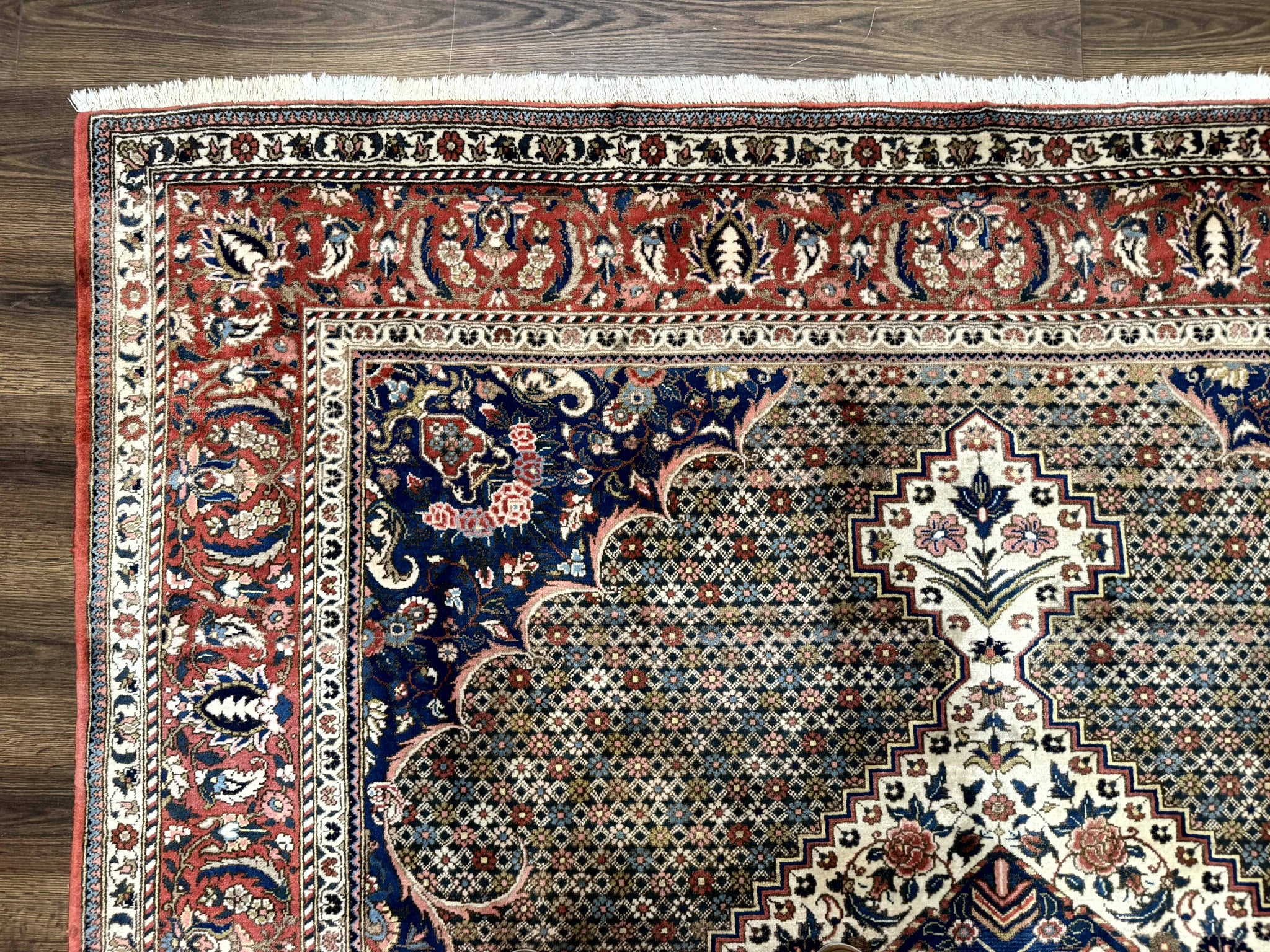 Persian Rug 7x10, Bakhtiari Saman Rug, Unique Design and Colors, Ivory Red Blue, Large Tribal Rug by Jewel Rugs