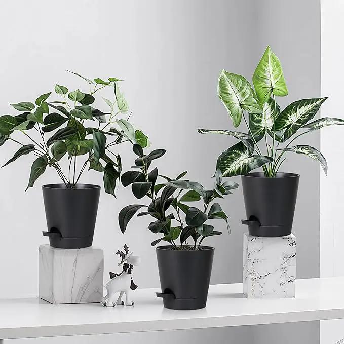 5 Pack 5 inch Self-Watering Pots, African Violets Planter with Drainage Holes and Reservoir, Black Plastic Planter for Indoor Outdoor Plants Flowers and Houseplants Black, 5 inch 5 pcs by GreenHaven Gardens