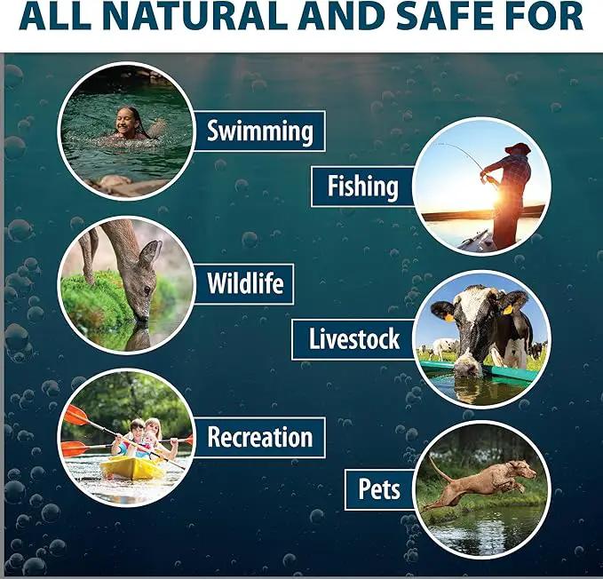 Airmax Black DyeMond Pond Dye 4X Concentrate for Outdoor Ponds & Lakes, Natural Pond Colorant & Beauty Enhancer, Block Ultraviolet Rays, Fish, Bird & Livestock Safe, Easy Liquid Application, 1 Quart by GreenHaven Gardens
