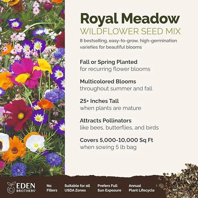 Eden Brothers Royal Meadow Flower Mixed Seeds for Planting, 5 lb, 2,400,000+ Seeds with Morning Glory, African Daisy | Attracts Pollinators, Plant in Spring or Fall, Zones 3, 4, 5, 6, 7, 8, 9, 10 by GreenHaven Gardens