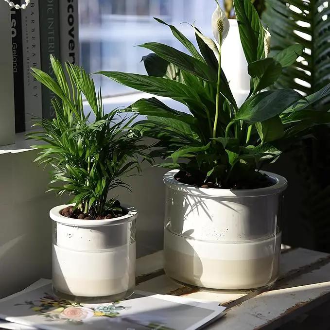 Phoenix Vine 6 Inch 4 Inch Self Watering Planter Pots, Design White Terracotta Pots for Plants, Indoor Cylinder Terra Cotta Pots with Glass Vase Set, 51-B-G-46 by GreenHaven Gardens