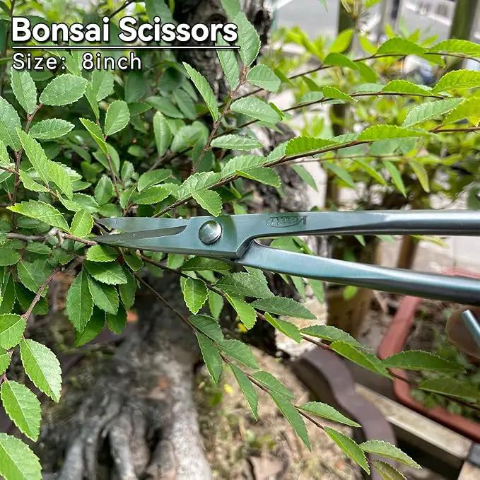 6-Piece Bonsai Tool Set,Concave Cutter,Knob Cutter,Jin Pliers,Wire Cutter,Bonsai Scissors, Root Hook by GreenHaven Gardens