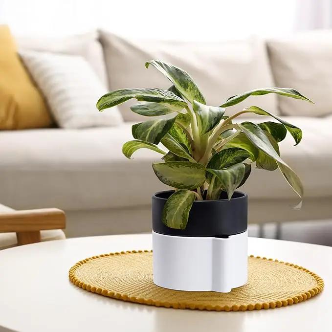 Phoenix Vine 6.5 Inch Self-Watering Planter Pot with Terracotta Insert, Deep Water Reservoir, and Ceramic-Alike BPA-Free Plastic Pot for Plant, Modern Planter for Houseplants, White/Black, 53-B-S-4 by GreenHaven Gardens