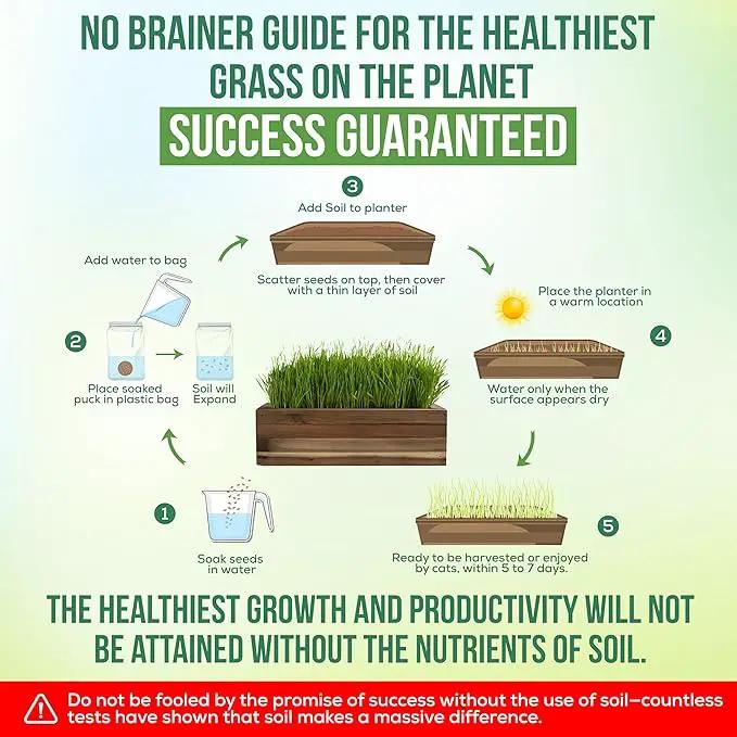 Cat Grass for Indoor Cats Kit – Limited Edition with Decorative Planter, Cat Trellis & Organic Seeds, Free Cat Toy & Catnip Spray for Ultimate Kitty Joy (AW) by GreenHaven Gardens