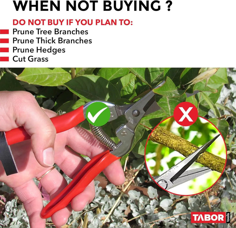 TABOR TOOLS Pruning Shears, Florist Scissors, Multi-Tasking Garden Snips for Arranging Flowers, Trimming Plants and Harvesting Herbs, Fruits or Vegetables. K17A. (Straight, Stainless Steel Blades) by GreenHaven Gardens