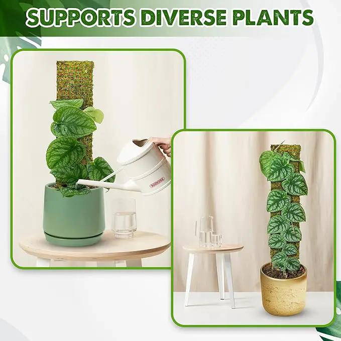 DUSPRO Flat Mesh Moss Poles for Climbing Plants Monstera Stackable Moss Pole for Plants with Real Moss Moss Plant Pole for Potted Plants Handmade Moss Stick for Indoor Plants Grow Upward 2 Pack 22” by GreenHaven Gardens