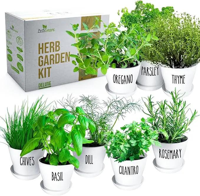 Deluxe Indoor & Outdoor Herb Garden Kit – 8 or The Most Popular Culinary Herbs with Pots & Soil for Windowsill or Patio Growing by GreenHaven Gardens