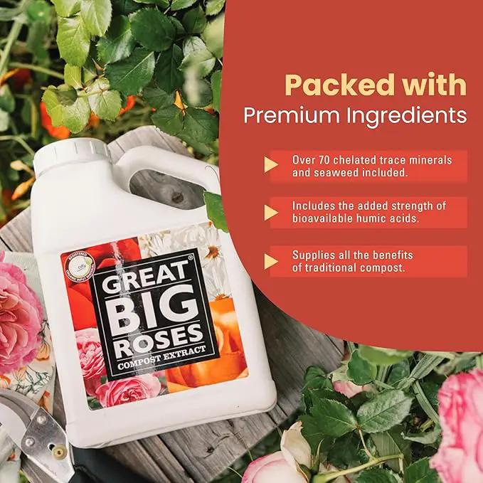 Great Big Roses – Soil and Rose Fertilizer Booster to Grow The Best Roses and Flowers; Rose Food Compost Extract for Rose Bush, 2.5 Gallon Concentrate (Makes 80 Gallons) by GreenHaven Gardens