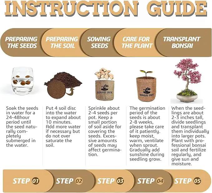 Indoor Bonsai Garden Starter Kit, 5 Seeds Growing into Red Maple, Wisteria, Black Pine, Judas Tree, Acacia, Including Complete Gardening Planters & A Wooden Box, Christmas Gifts for Women by GreenHaven Gardens
