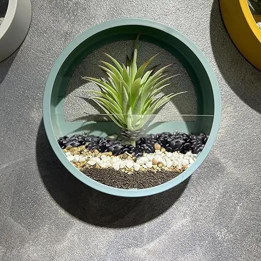 5 lbs Black Pebbles for Indoor Plants, Succulent, Bamboo, Vase, 3/8" Plant Rocks for Pots Indoor, Small River Rocks Decorative Pea Gravel, Highly Polished by GreenHaven Gardens
