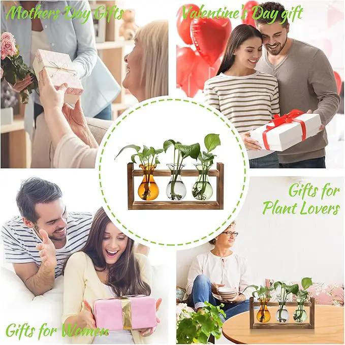 Plant Propagation Station Plant Terrarium Unique Birthday Gifts for Women Plant Lovers Home Office Decor Planter with Wooden Stand - 3 Bulb Glass Vase by GreenHaven Gardens