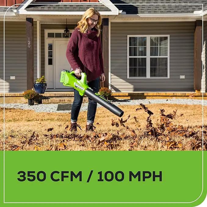 Greenworks 40V 13-Inch Cordless String Trimmer/Edger and Leaf Blower Combo Kit + 3 Bonus Spools, 2.0Ah Battery and Charger Included by GreenHaven Gardens