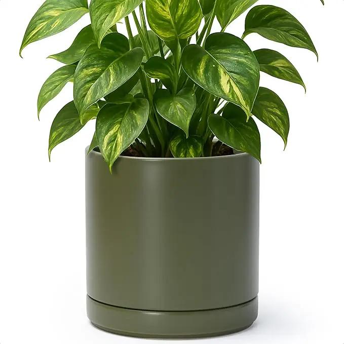 D'vine Dev 8 Inch Ceramic Planter Pot with Drainage Hole and Saucer, Indoor Cylinder Round Planter Pot, Olive, 94-O-D-J by GreenHaven Gardens