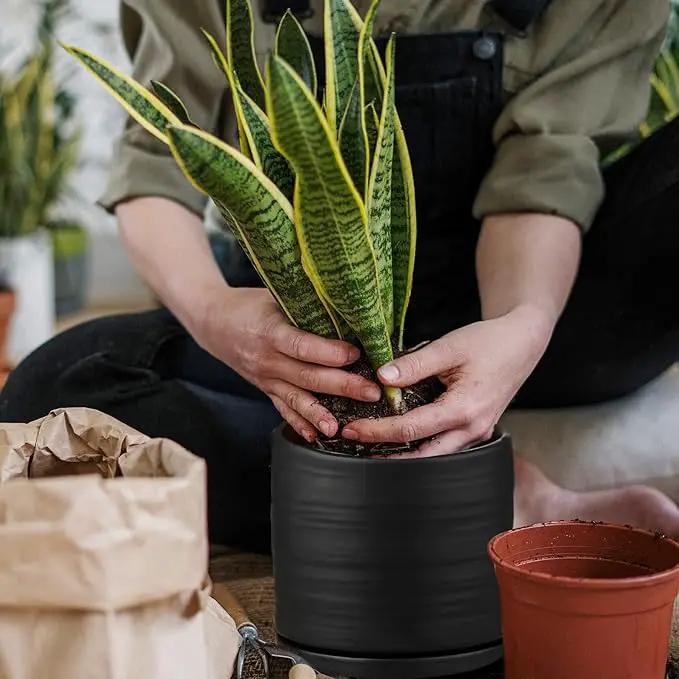 6 Inch Plant Pots, Ceramic Planter Pot with Drainage Hole & Saucer, Indoor/Outdoor Cylinder Round Planter Pot, Matte Black by GreenHaven Gardens