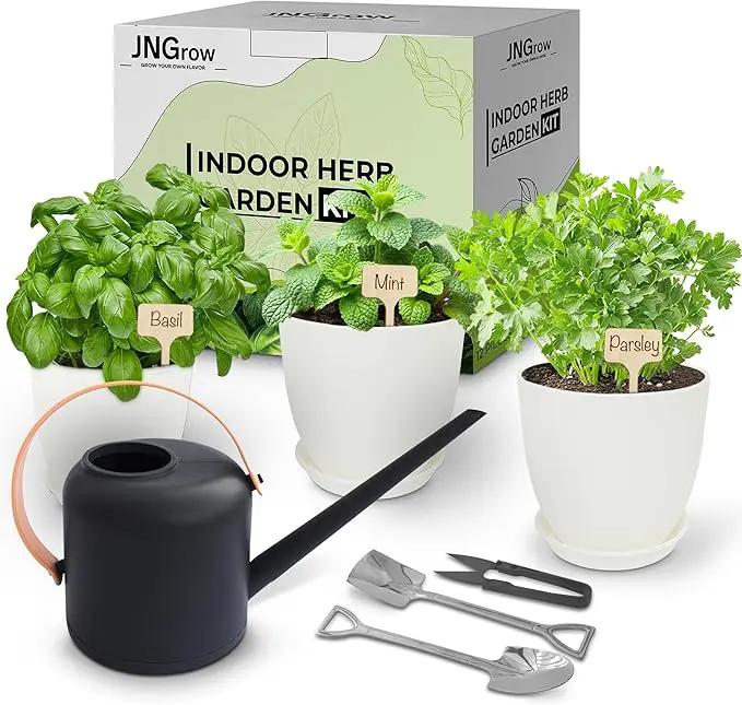 Indoor Garden Kit - Plant Pots with Drainage, Watering Can & Tools - Ideal Windowsill Planter Set - Modern Home & Kitchen Decor Gift - White by GreenHaven Gardens