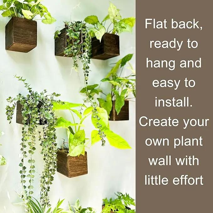 LaLaGreen Wood Planter Box for Plants (2 Pack, 4x4 Inch) Small Square Wall Planters for Indoor Plant, Window Hanging Flower Pot Wooden Boxes for Table Centerpiece Herb Balcony Home Garden Office Decor by GreenHaven Gardens