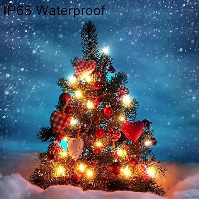 2 Pack Battery Operated String Lights with Remote Timer Waterproof 8 Modes 16.4ft 50 LED String Lights for Bedroom,Garden,Party,Xmas Tree Indoor Outdoor Decorations, Warm White by GreenHaven Gardens