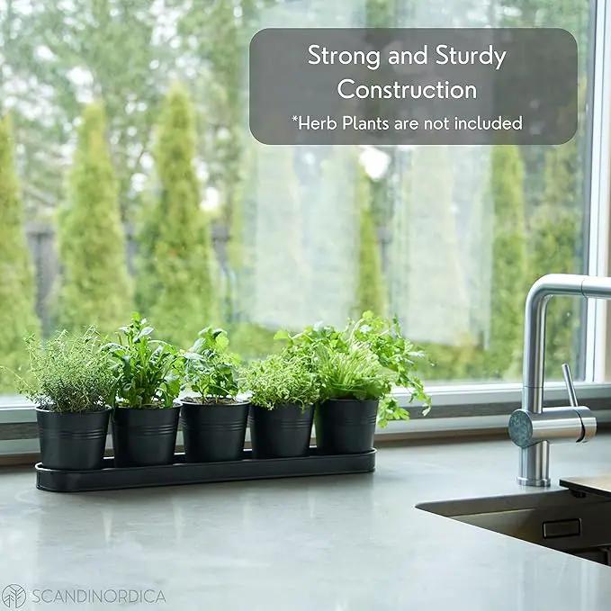 SCANDINORDICA Black Herb Planter – 5 Pots with Drainage Holes and Tray, Windowsill Planter, Herb Pots for Indoor Outdoor Plants | Kitchen & Garden Decor by GreenHaven Gardens