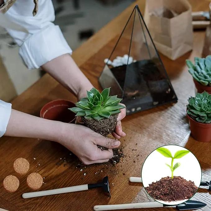 ZeeDix Organic Coco Coir Pellets Potting Soil, 50pcs 30mm Compressed Coconut Coir Seed Starter Soil Pellets, Coco Peat Soil Discs for Indoor Outdoor Plants, Herbs, Houseplants, Flowers and Vegetables by GreenHaven Gardens