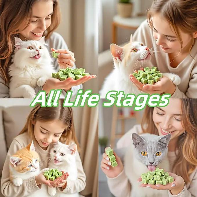250g/8.82oz Cat Toy Cats Grass Treats, Fish Oil Kitten Grass Catnip Stick for Hairball Removal Teeth Cleaning Cats Edible Freeze Dried Kitty Lickable Chew Dental Snack for Indoor Kitty Food by GreenHaven Gardens