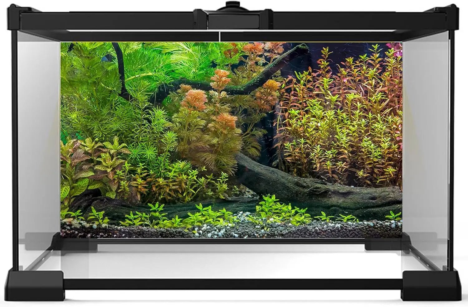 Aquarium Backdrop Underwater Grass Leaves with Pebbles Exquisite Aquarium Background Vivid Green Aquatic Plant Stone River Bed Fish Dead Wood Fresh Leaves Tank Background Decors Vinyl 24x16in by GreenHaven Gardens