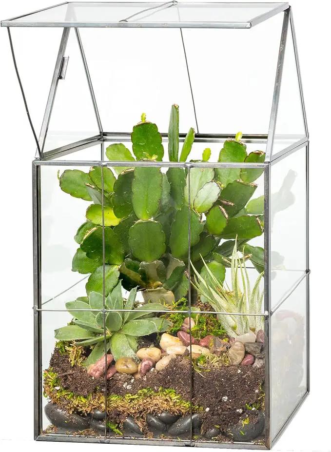 D'Eco Glass Geometric Plant Terrarium (6"x5"x11") - Indoor Tabletop Black Hinged Roof Planter Terrarium for Succulents, Air Plants, Moss - Home, Garden, Wedding & Office Decor- Gift for Plant Lovers by GreenHaven Gardens