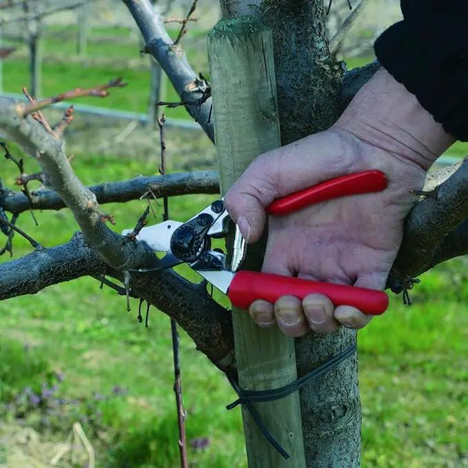 Felco F6 Pruning Shears – 7.7" Swiss-Made Garden Clippers for Medium Hands | Hand Pruners for Gardening | Garden Tool Cutter with Precision Bypass Blade, Forged Aluminum Handles, Replaceable Parts by GreenHaven Gardens