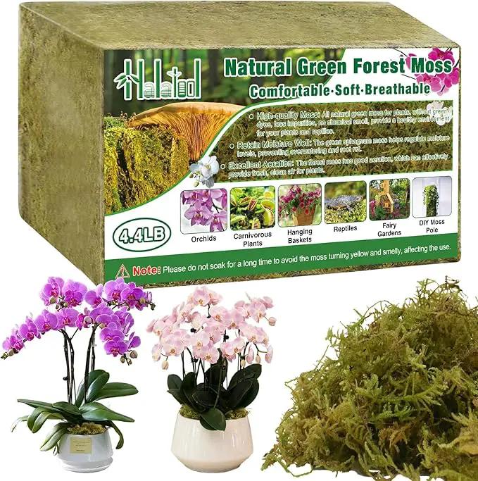 Halatool 4.4LB Green Forest Moss Natural Sphagnum Moss for Plants Fluffy Orchid Moss for Orchids Repotting Dried Plant Moss for Potted Plants Indoor & Outdoor by GreenHaven Gardens