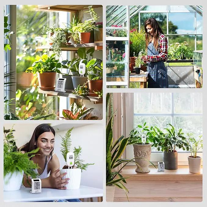 RAINPOINT Light-Driven Thermo-Hygrometer & Smart Digital Wireless Soil Moisture Meter (WiFi Hub Needed) Kit, Real-time Monitor Sensor Gardening Plant Care Essentials by GreenHaven Gardens