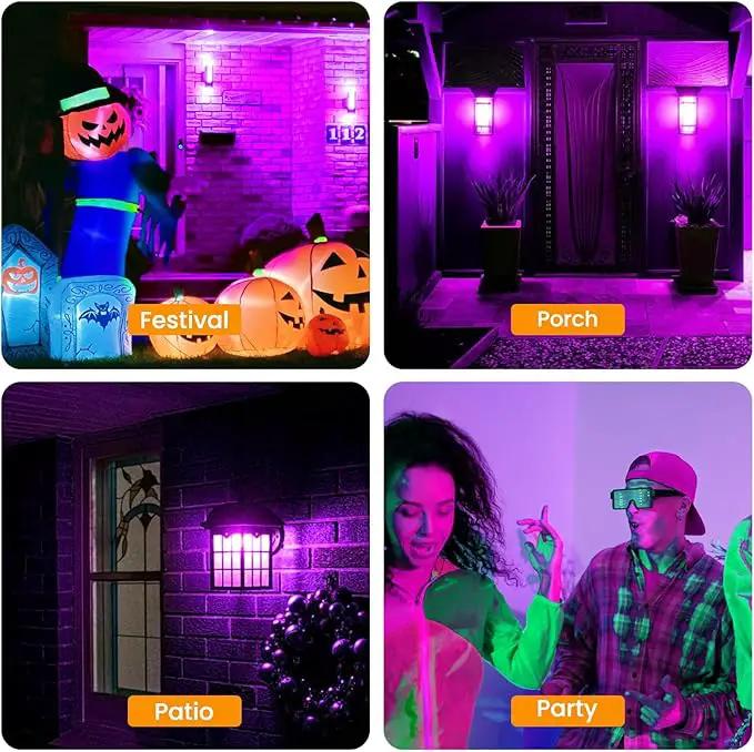 Hompavo 【Upgraded LED Flame Light Bulbs, 3 Modes Flickering Light Bulbs, E12 Chandelier Base Candle Fire Light Bulb for Halloween Christmas Party Porch Indoor & Outdoor Home Decoration, Purple 6 Pack by GreenHaven Gardens