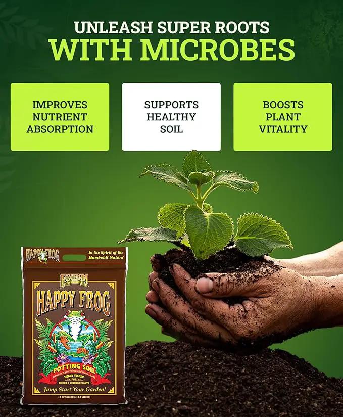 FoxFarm Happy Frog Potting Soil, 12qt – for Indoor/Outdoor Container Plants, Improves Root Efficiency, pH Adjusted for Optimal Nutrient Uptake – Contains Microbes and Humic Acids (Pack of 2) by GreenHaven Gardens