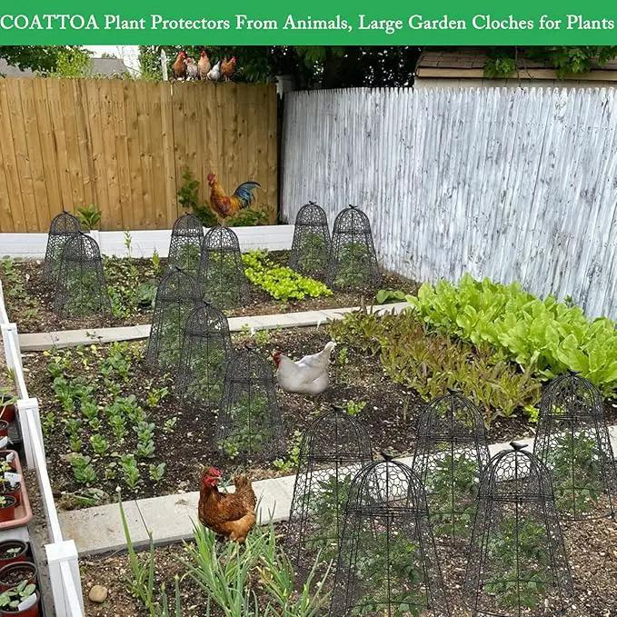 Plant Protector Chicken Wire Cloche 6 PCS, Plant Protectors from Animals, 18.7×12 Inch Large Garden Cloches for Plants, Sturdy 2-in-1 Cloche Dome for Plants, Plant Protectors for Easy Pruning by GreenHaven Gardens