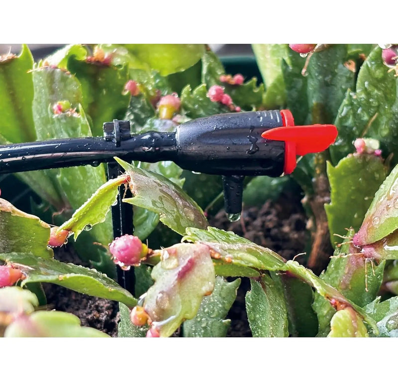 AEO Solar-Powered Automatic Watering Drip Irrigation System, 20 Adjustable Drippers, 65 ft for Balcony Greenhouse Raised Garden Bed by GreenHaven Gardens
