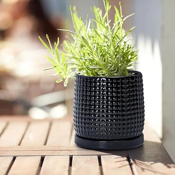 D'vine Dev 4 Inch Ceramic Beaded Stoneware Planter Pot - Flower Pot with Drainage Holes and Saucers for Indoor Succulent Plants or Flowers, Glossy Black, 27-C-Z-2 by GreenHaven Gardens