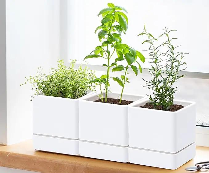 4 Inch Herb Planter Pot, Plastic Planter with Drainage Holes and Saucer, Modern Decorative Gardening Pot for Indoor Plants, Flowers, Herbs, Succulents, White, Set of 3, 76-Y-A-3 by GreenHaven Gardens