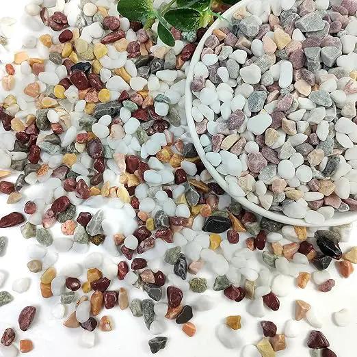 5lbs Mixed Color Pebbles for Plants, 3/8inch Small Rocks for Succulent Cactus Planters, Natural Polished Pebbles, River Rocks for Plants, Vases, Garden by GreenHaven Gardens