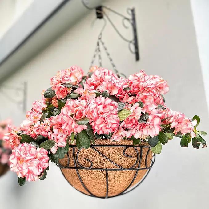 LaLaGreen Hanging Planter for Outdoor Plants (2 Pack, 16 Inch) Hanging Baskets with Coco Liner, Metal Wire Flower Basket Pots with Hook Hanger Balcony Porch Farmhouse Country Style Garden Decor by GreenHaven Gardens