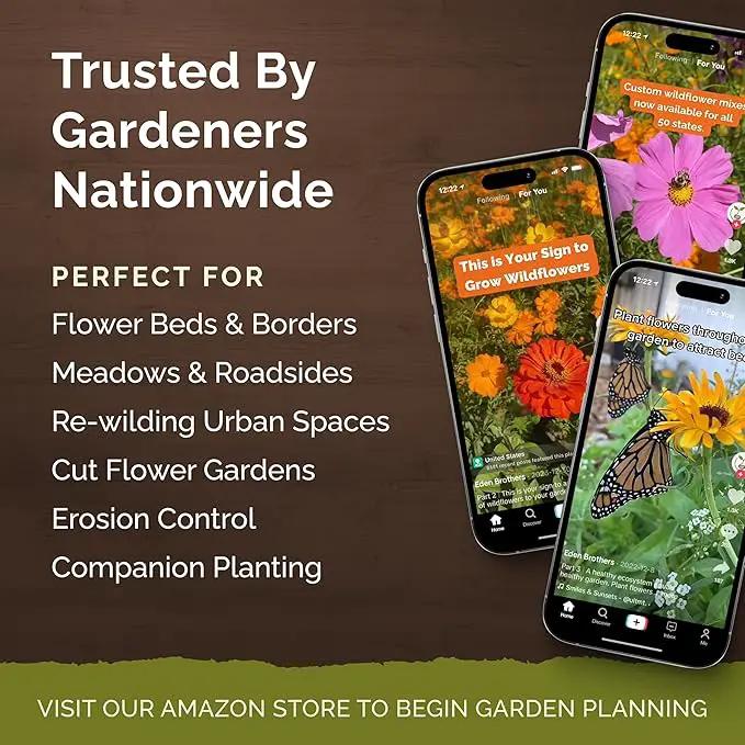 Eden Brothers All Perennial Wildflower Mixed Seeds for Planting, 5 lb, 2,400,000+ Seeds with Lupine, Shasta Daisy| Attracts Pollinators, Plant in Spring or Fall, Zones 3, 4, 5, 6, 7, 8, 9, 10 by GreenHaven Gardens
