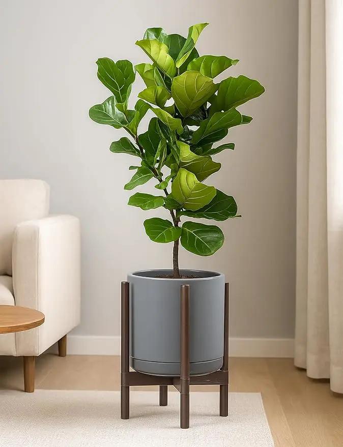 D'vine Dev Ceramic Planter with Walnut Color Stand - 12 Inch Modern Round Flower Pot with Wood Planter Holder, Grey, 55-B-W-3 by GreenHaven Gardens