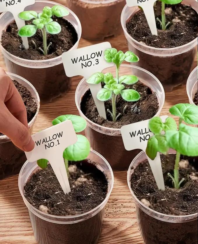 homenote Clear Nursery Pots for Plants,7 Inch Plant Pot for Planting Plastic Seedling with Drainage Holes Seed Starter Flower High Transparency with 20 Labels (15 Pack) by GreenHaven Gardens