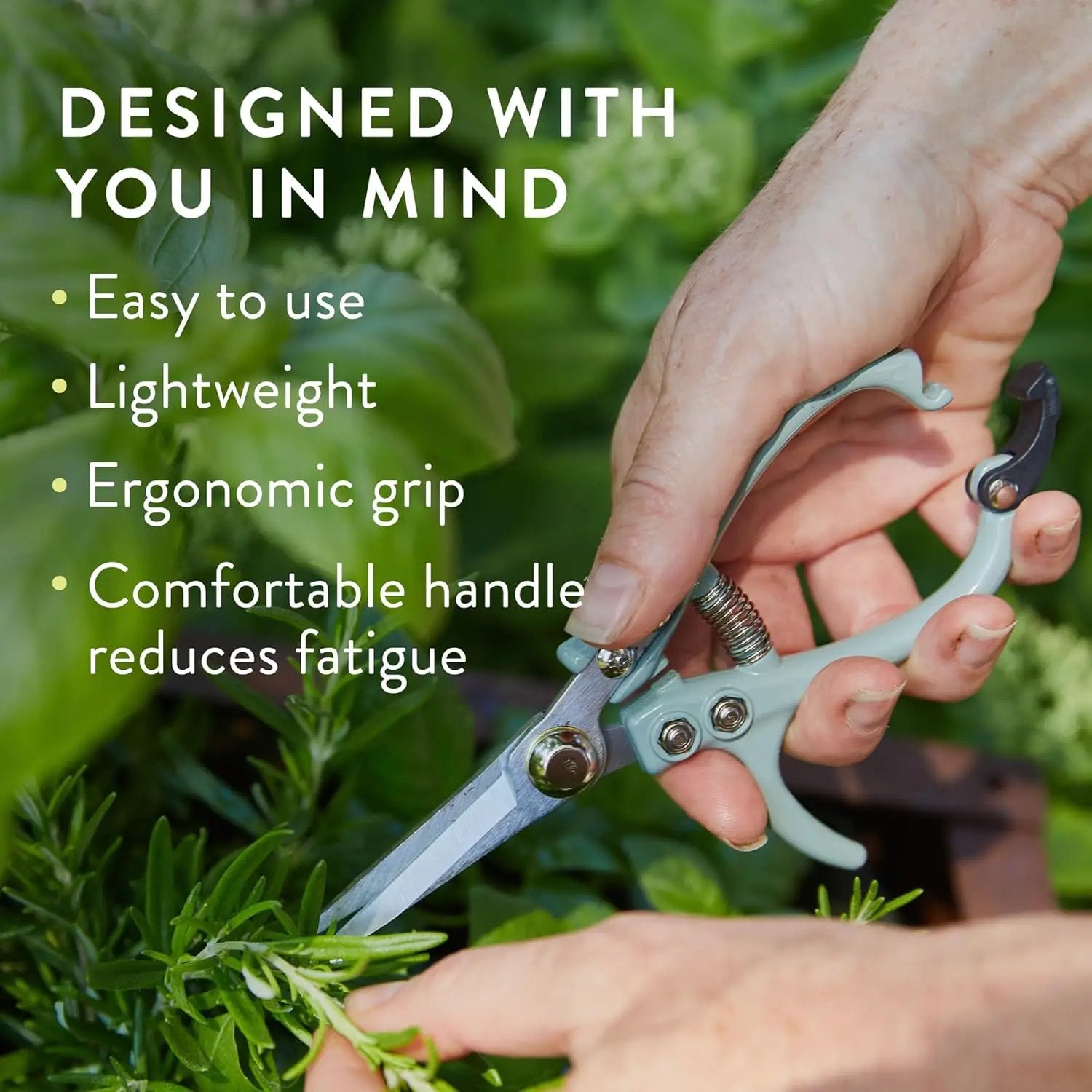 Modern Sprout Pruning Shears - Herb Snipping Scissors- Lightweight Gardening Tools W/Easy Lock - Flower Cutter Garden Shears - Carbon Steel Blade + Reusable Holster (Chartreuse, 1-Pack) by GreenHaven Gardens